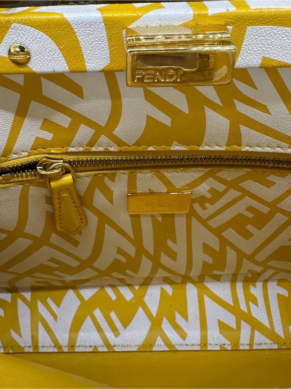 FENDI X SARAH COLEMAN Vertigo Peekaboo With Strap and Rain Cover - Picture 7 of 16